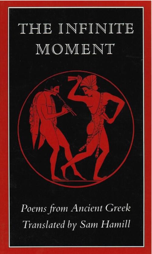 cover image of the book The Infinite Moment