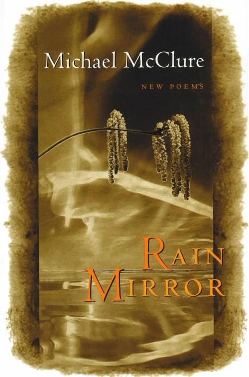 cover image of the book Rain Mirror