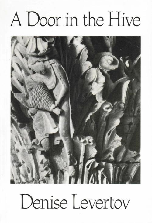 cover of the book A Door In The Hive
