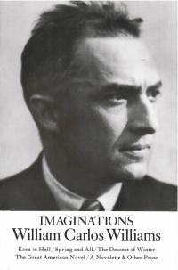 cover of the book Imaginations