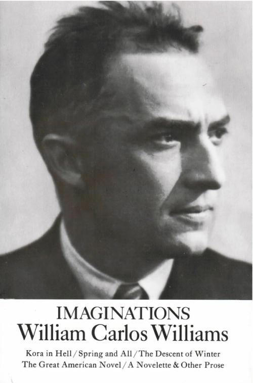 cover of the book Imaginations