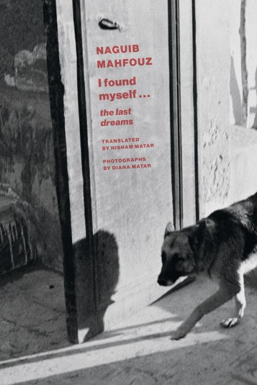 cover image of the book I Found Myself