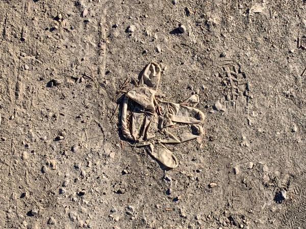 Image by New Direction