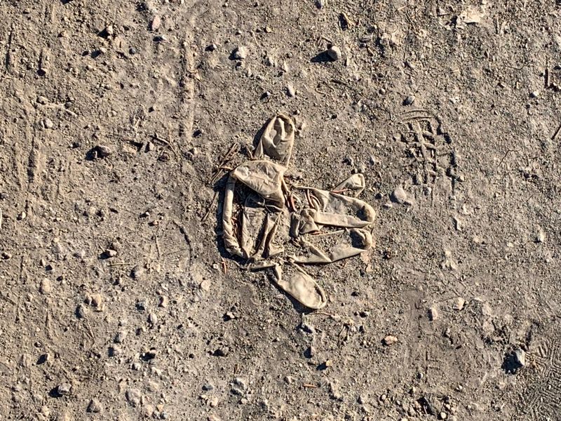 Image by New Direction