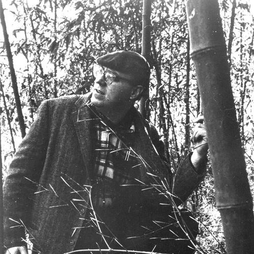 Portrait of Cid Corman