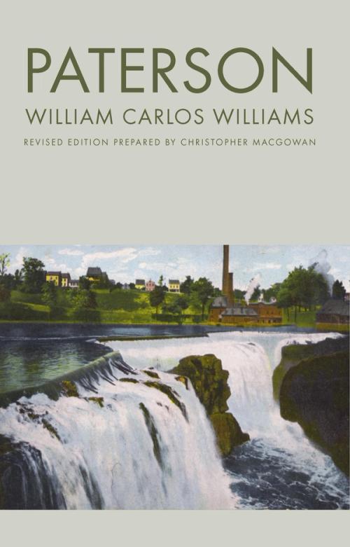 cover image of the book Paterson
