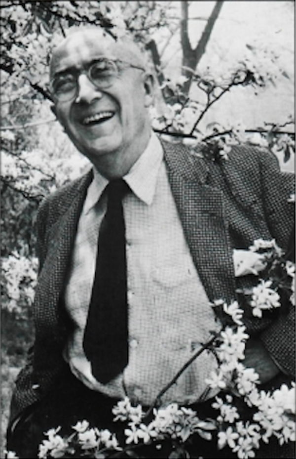 Image by New Direction