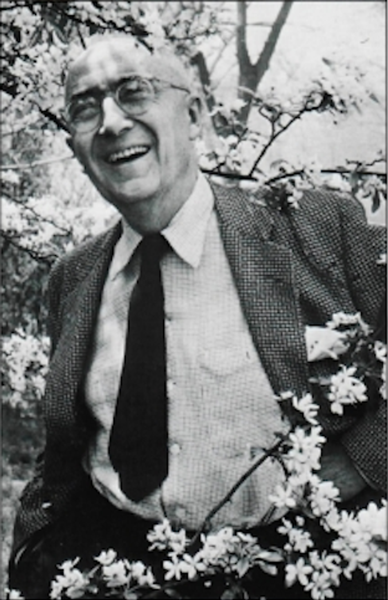 Image by New Direction