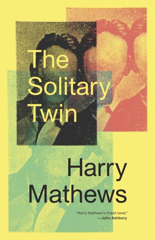 cover image of the book The Solitary Twin