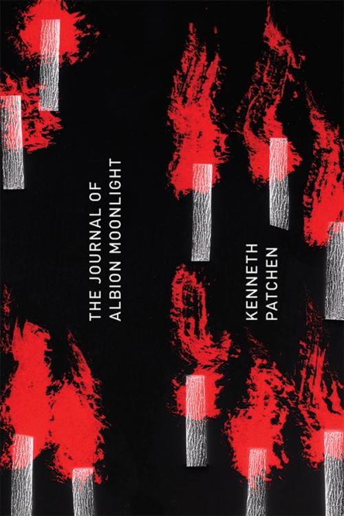 cover of the book The Journal Of Albion Moonlight