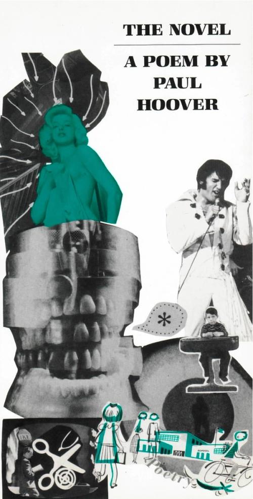 cover of the book The Novel