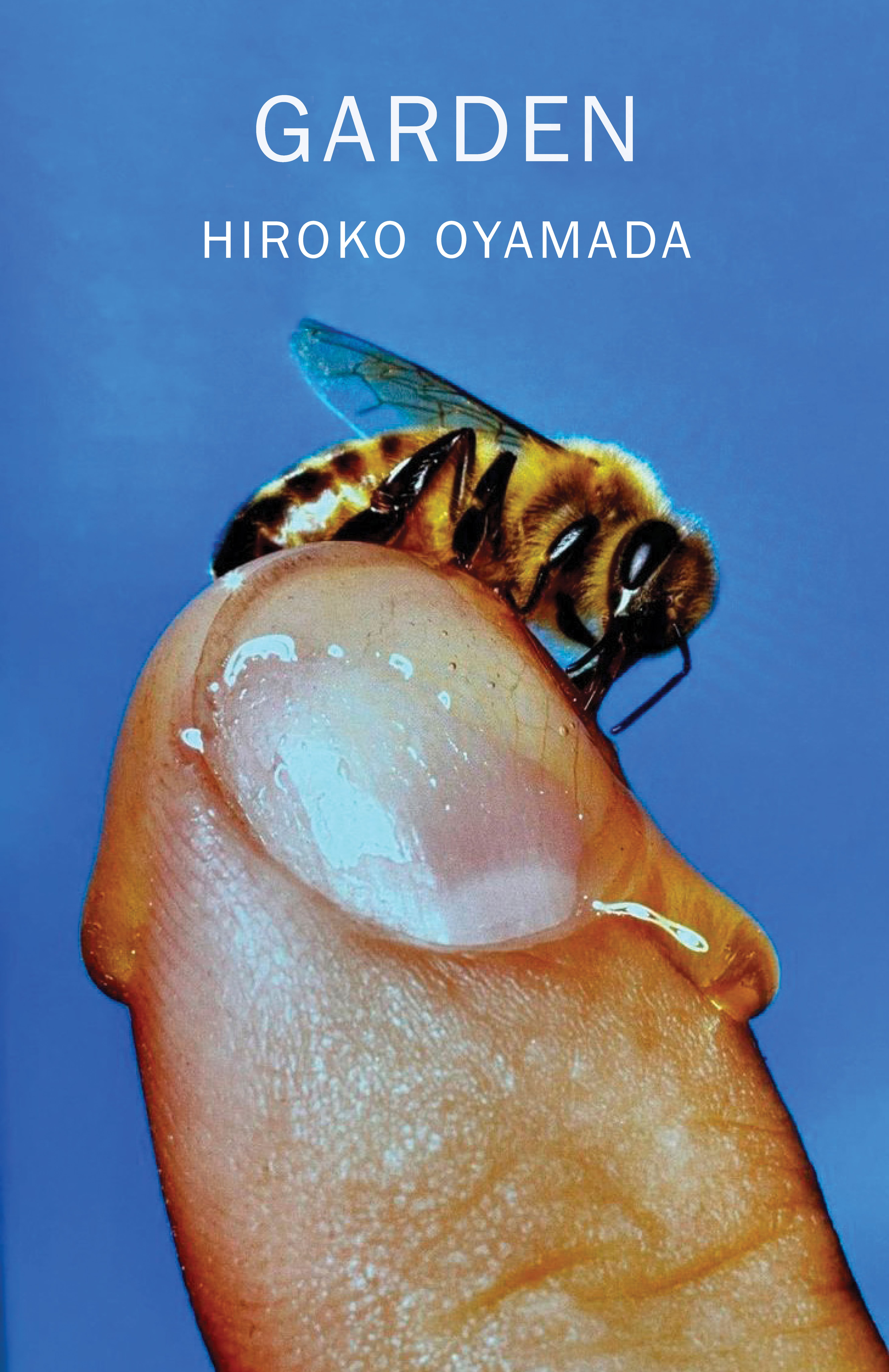 洋書 Daimyo Gardens Shirahata Yozaburo Garden | New Directions Publishing