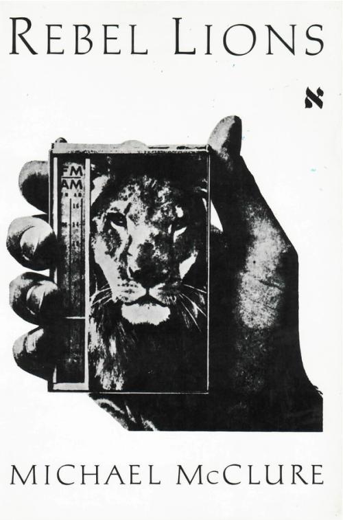 cover image of the book Rebel Lions