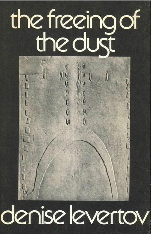 cover image of the book The Freeing Of The Dust