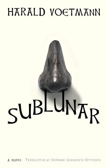 cover image of the book Sublunar