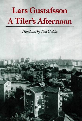 cover image of the book A Tiler’s Afternoon