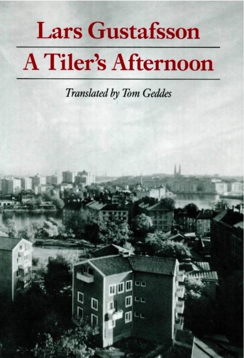 cover of the book A Tiler’s Afternoon