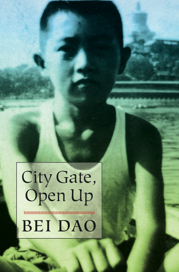 cover image of the book City Gate, Open Up