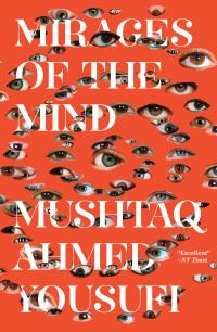 cover of the book Mirages of the Mind