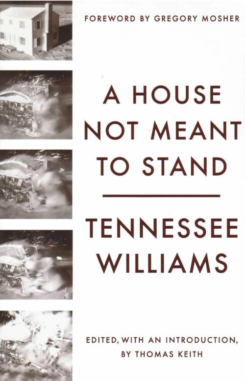 cover image of the book A House Not Meant To Stand