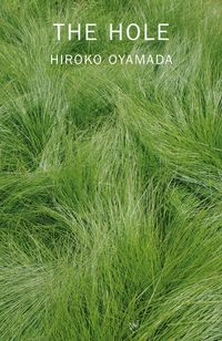 cover of the book The Hole