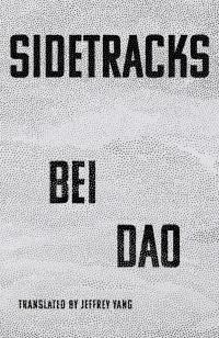 cover of the book Sidetracks