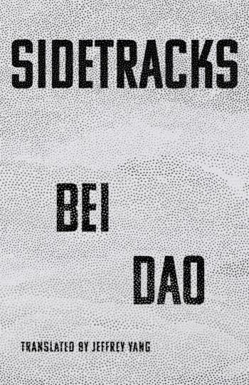 cover of the book Sidetracks