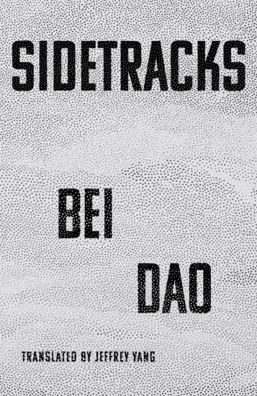 cover image of the book Sidetracks
