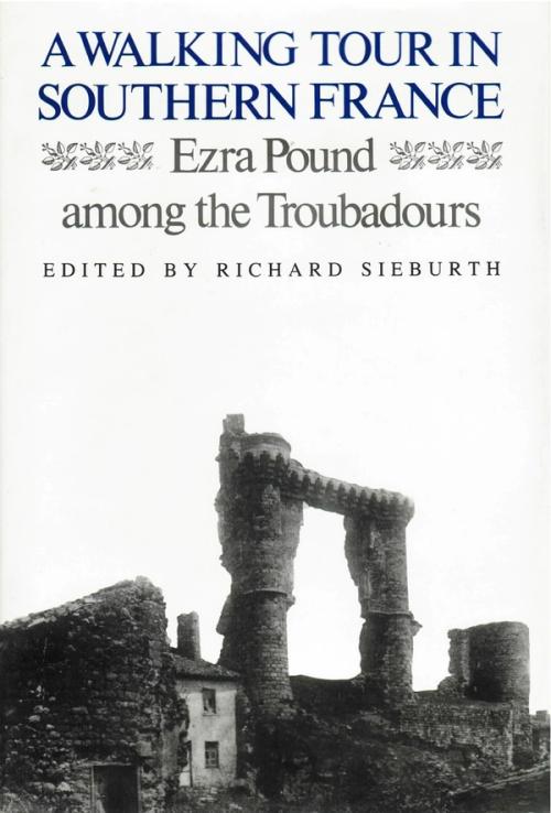 cover of the book A Walking Tour In Southern France