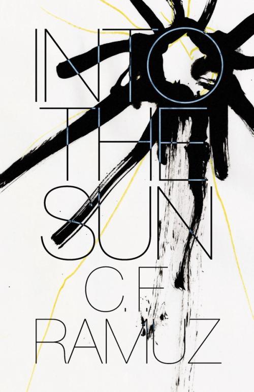 cover image of the book Into the Sun