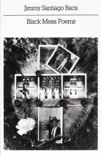 cover of the book Black Mesa Poems