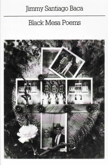 cover of the book Black Mesa Poems