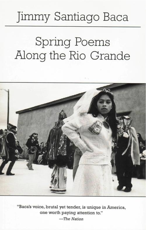 cover image of the book Spring Poems Along The Rio Grande