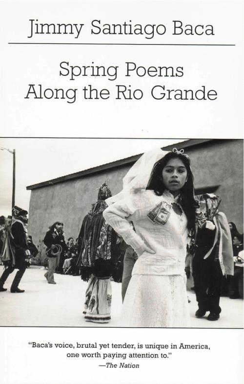 cover of the book Spring Poems Along The Rio Grande