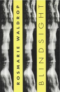 cover of the book Blindsight