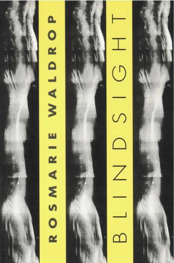 cover of the book Blindsight