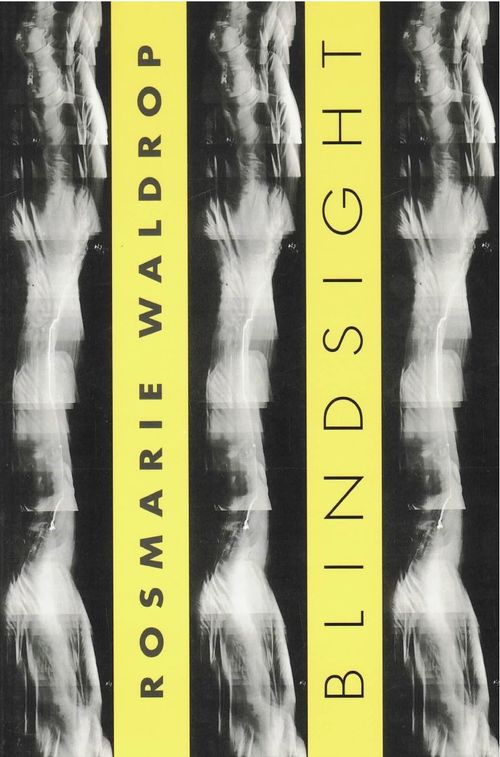 cover of the book Blindsight