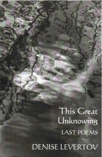 cover of the book This Great Unknowing