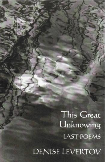 cover of the book This Great Unknowing