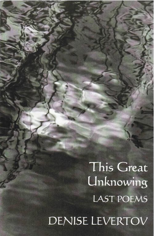 cover image of the book This Great Unknowing