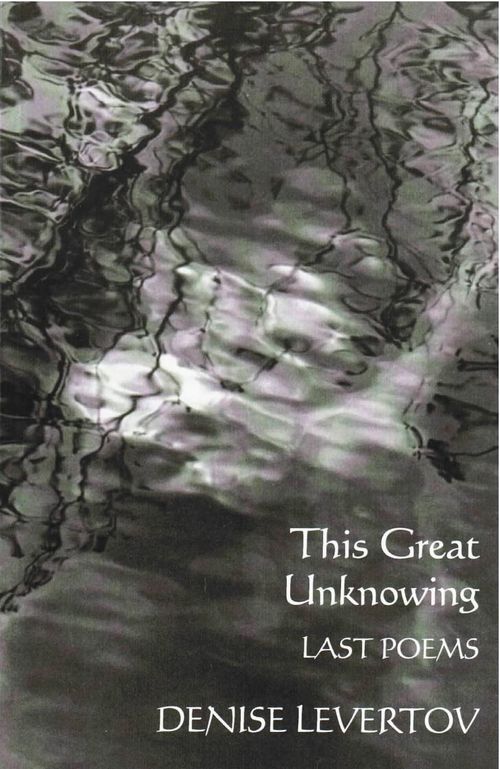 cover of the book This Great Unknowing