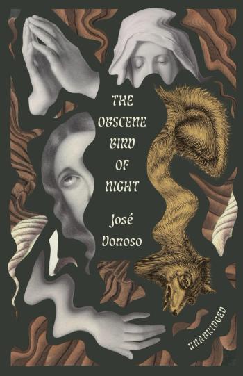 cover image of the book The Obscene Bird of Night