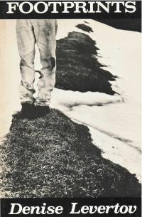 cover of the book Footprints