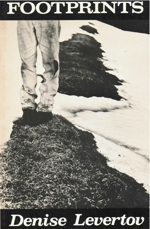 cover of the book Footprints