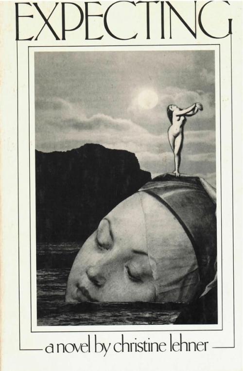cover of the book Expecting