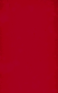 cover of the book Toño the Infallible