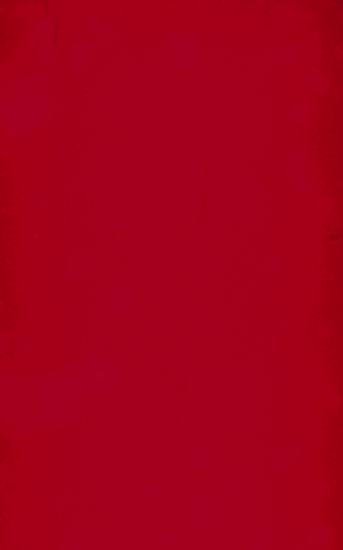 cover of the book Toño the Infallible