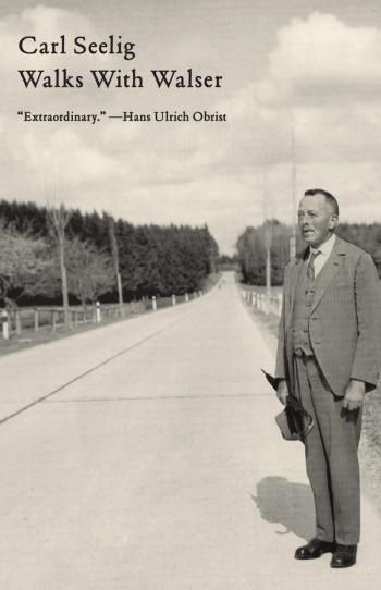 cover of the book Walks With Walser