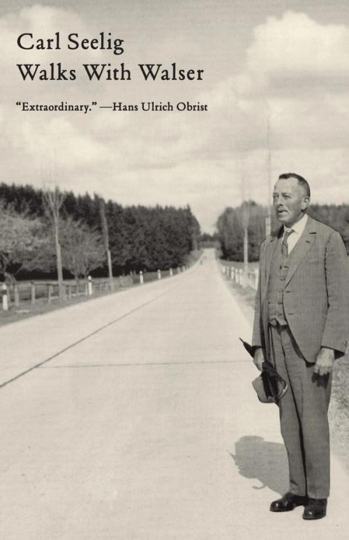 cover of the book Walks With Walser