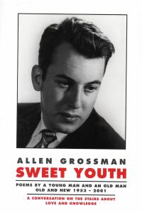 cover of the book Sweet Youth